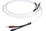 Chord Company C-screenX | kabel głośnikowy