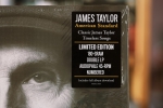 RECENZJA: JAMES TAYLOR „American Standard” | LP