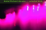 MUHAL RICHARD ABRAMS • „Celestial Birds” | KARLRECORDS
