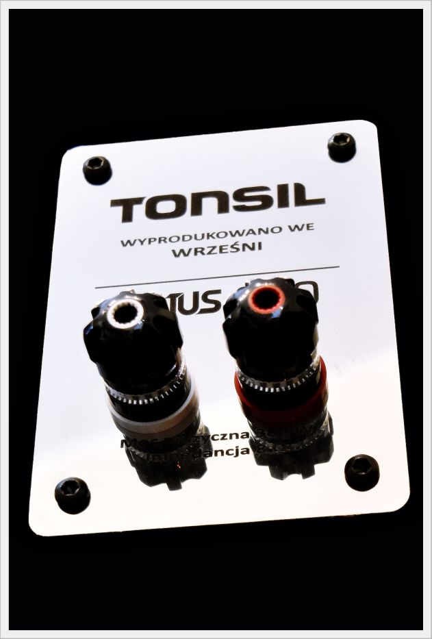 Tonsil na Audio Video Show 2015