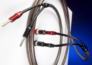 CHORD EpicX kabel głośnikowy